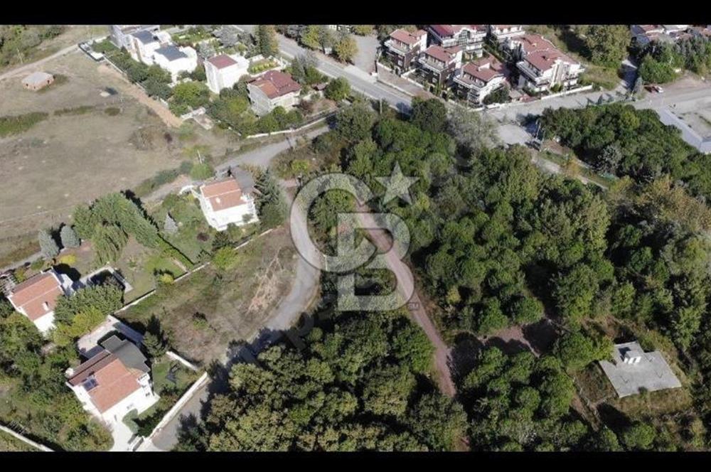 YALOVA TERMAL YENİMAHALLE ANA YOL ÜZERİNDE IMARLI ARSA