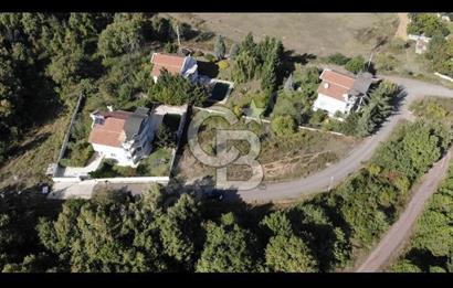 YALOVA TERMAL YENİMAHALLE ANA YOL ÜZERİNDE IMARLI ARSA