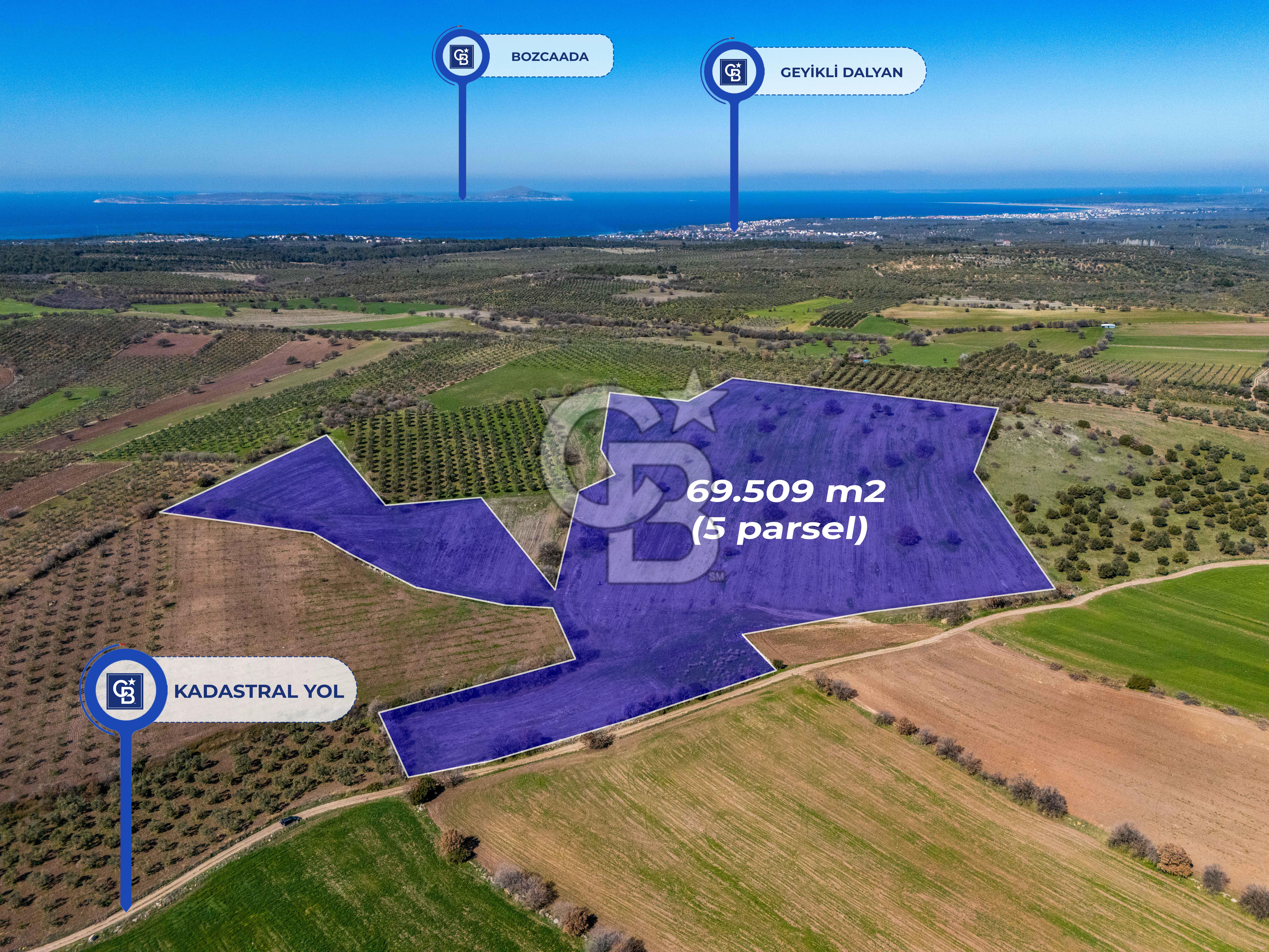 Ezine Körüktaşında Satılık Tarlalar