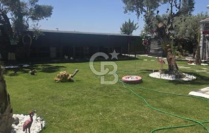SATILIK TORBALI DAĞKIZILCA’DA İÇİNDE 1+1 EVİ BULUNAN  ZEYTİNLİ TARLA
