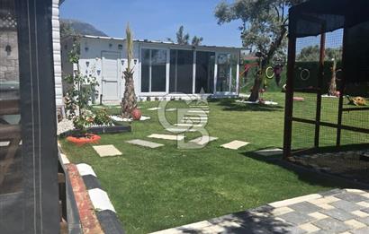 SATILIK TORBALI DAĞKIZILCA’DA İÇİNDE 1+1 EVİ BULUNAN  ZEYTİNLİ TARLA