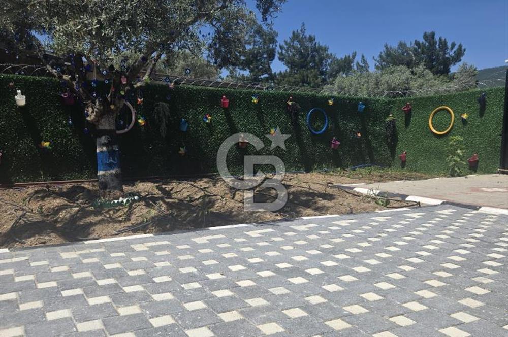 SATILIK TORBALI DAĞKIZILCA’DA İÇİNDE 1+1 EVİ BULUNAN  ZEYTİNLİ TARLA