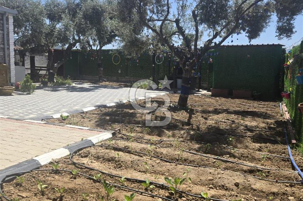 SATILIK TORBALI DAĞKIZILCA’DA İÇİNDE 1+1 EVİ BULUNAN  ZEYTİNLİ TARLA
