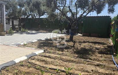 SATILIK TORBALI DAĞKIZILCA’DA İÇİNDE 1+1 EVİ BULUNAN  ZEYTİNLİ TARLA