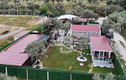SATILIK TORBALI DAĞKIZILCA’DA İÇİNDE 1+1 EVİ BULUNAN  ZEYTİNLİ TARLA