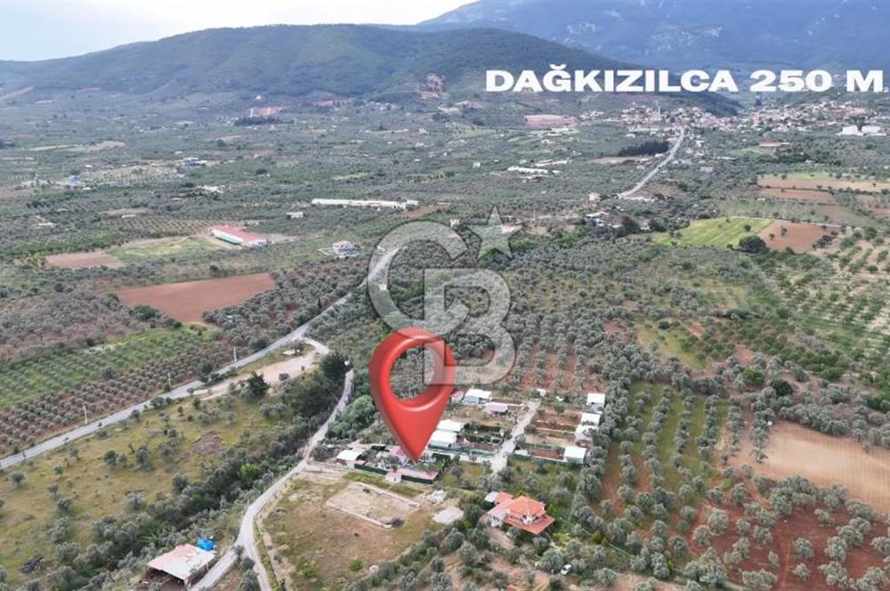 SATILIK TORBALI DAĞKIZILCA’DA İÇİNDE 1+1 EVİ BULUNAN  ZEYTİNLİ TARLA