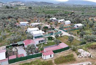 SATILIK TORBALI DAĞKIZILCA’DA İÇİNDE 1+1 EVİ BULUNAN  ZEYTİNLİ TARLA
