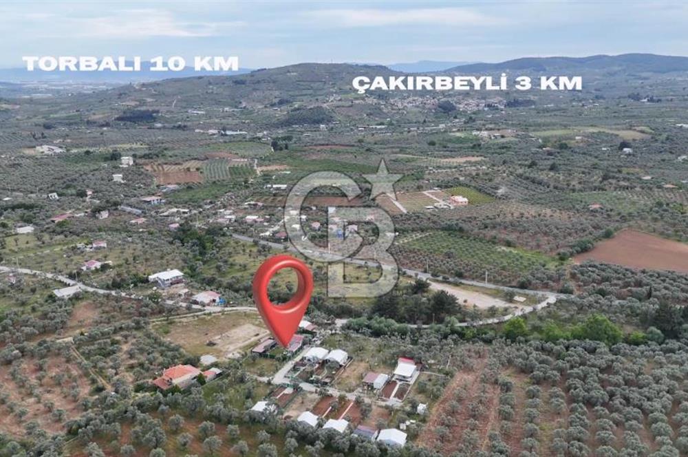 SATILIK TORBALI DAĞKIZILCA’DA İÇİNDE 1+1 EVİ BULUNAN  ZEYTİNLİ TARLA