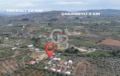 SATILIK TORBALI DAĞKIZILCA’DA İÇİNDE 1+1 EVİ BULUNAN  ZEYTİNLİ TARLA