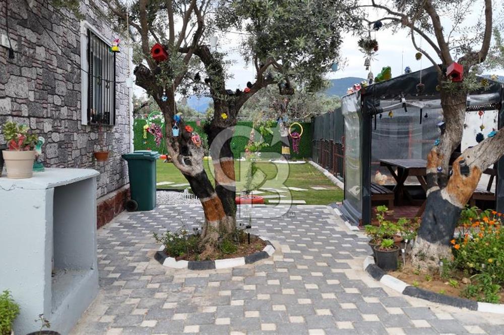 SATILIK TORBALI DAĞKIZILCA’DA İÇİNDE 1+1 EVİ BULUNAN  ZEYTİNLİ TARLA