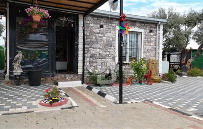 SATILIK TORBALI DAĞKIZILCA’DA İÇİNDE 1+1 EVİ BULUNAN  ZEYTİNLİ TARLA
