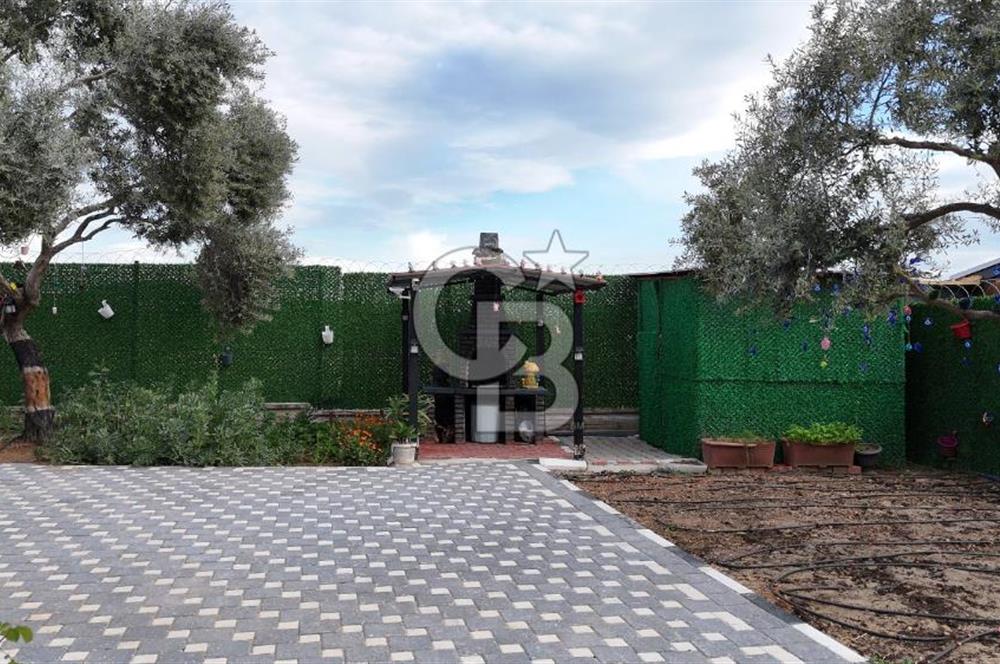 SATILIK TORBALI DAĞKIZILCA’DA İÇİNDE 1+1 EVİ BULUNAN  ZEYTİNLİ TARLA