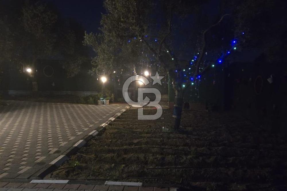 SATILIK TORBALI DAĞKIZILCA’DA İÇİNDE 1+1 EVİ BULUNAN  ZEYTİNLİ TARLA