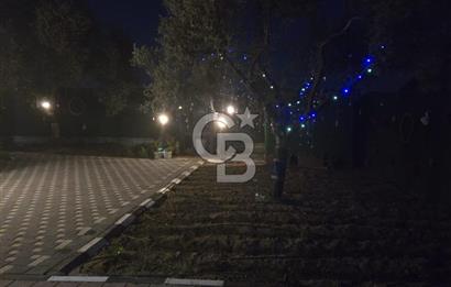 SATILIK TORBALI DAĞKIZILCA’DA İÇİNDE 1+1 EVİ BULUNAN  ZEYTİNLİ TARLA
