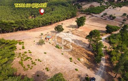 ALAKEÇİDE SATILIK ORMAN VE YOL CEPHELİ TARLA