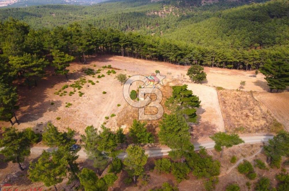 ALAKEÇİDE SATILIK ORMAN VE YOL CEPHELİ TARLA