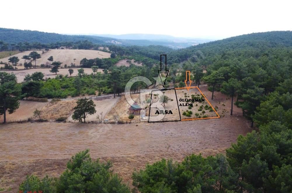 ALAKEÇİDE SATILIK ORMAN VE YOL CEPHELİ TARLA