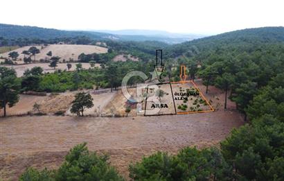 ALAKEÇİDE SATILIK ORMAN VE YOL CEPHELİ TARLA