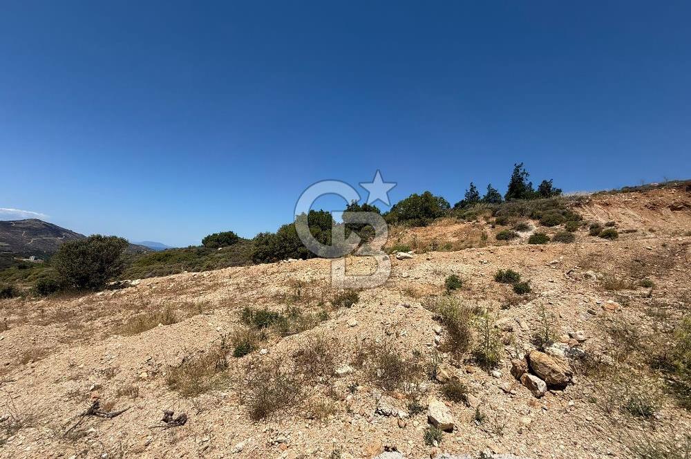 Yenifoça'da Satılık 993 m2 Arsa