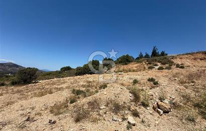 Yenifoça'da Satılık 993 m2 Arsa