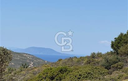 Yenifoça'da Satılık 993 m2 Arsa