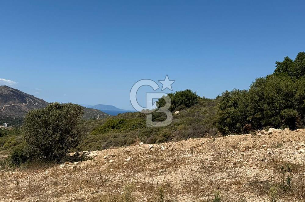 Yenifoça'da Satılık 993 m2 Arsa