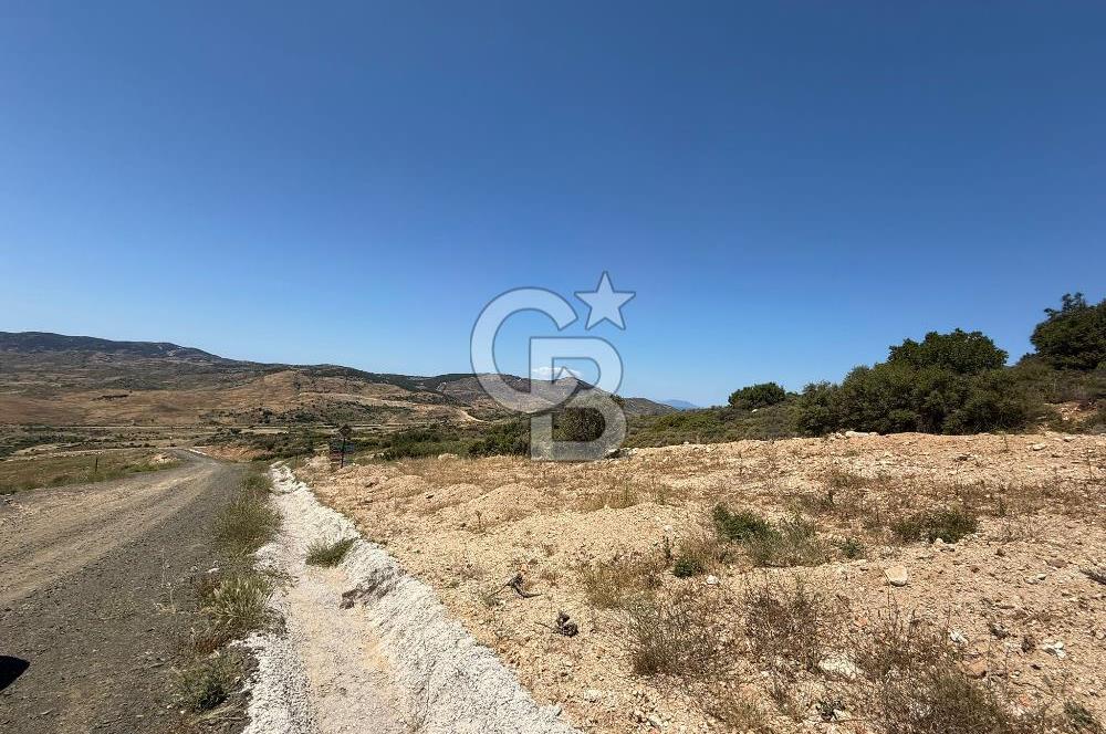 Yenifoça'da Satılık 993 m2 Arsa