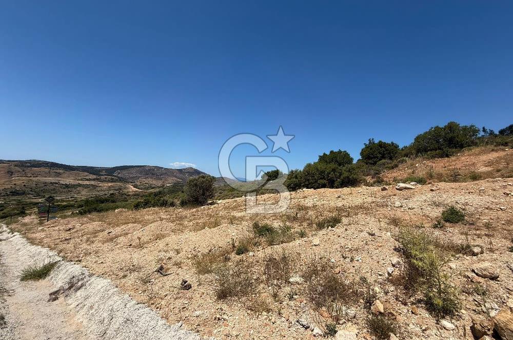 Yenifoça'da Satılık 993 m2 Arsa