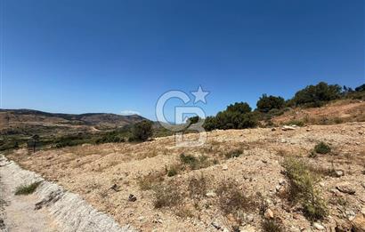 Yenifoça'da Satılık 993 m2 Arsa