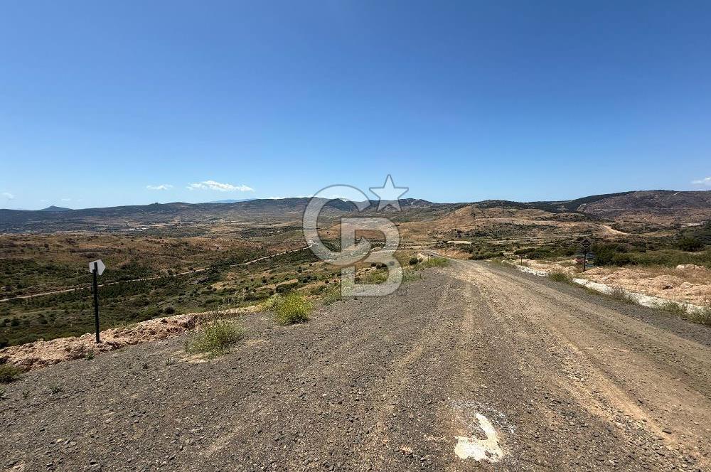Yenifoça'da Satılık 993 m2 Arsa