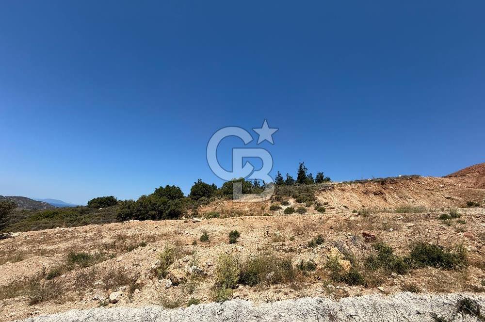 Yenifoça'da Satılık 993 m2 Arsa
