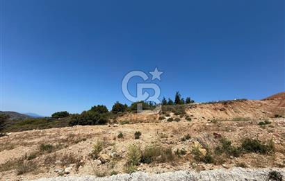 Yenifoça'da Satılık 993 m2 Arsa