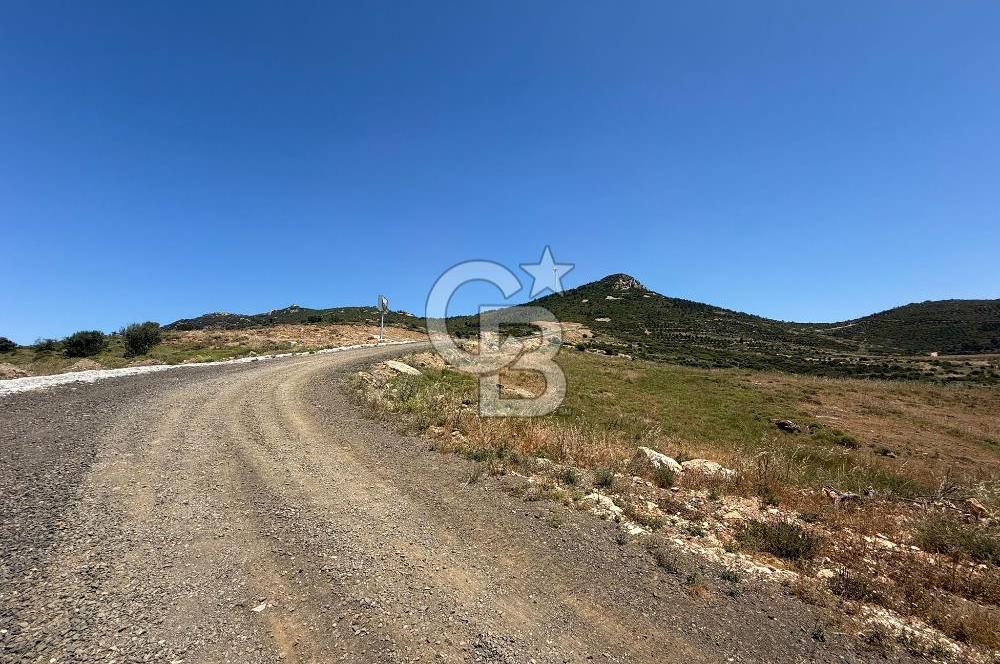 Yenifoça'da Satılık 993 m2 Arsa