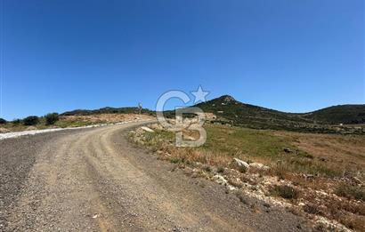 Yenifoça'da Satılık 993 m2 Arsa