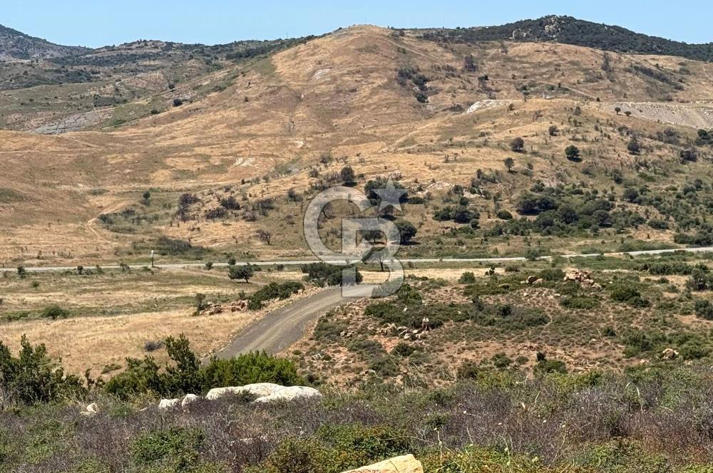 Yenifoça'da Satılık 993 m2 Arsa