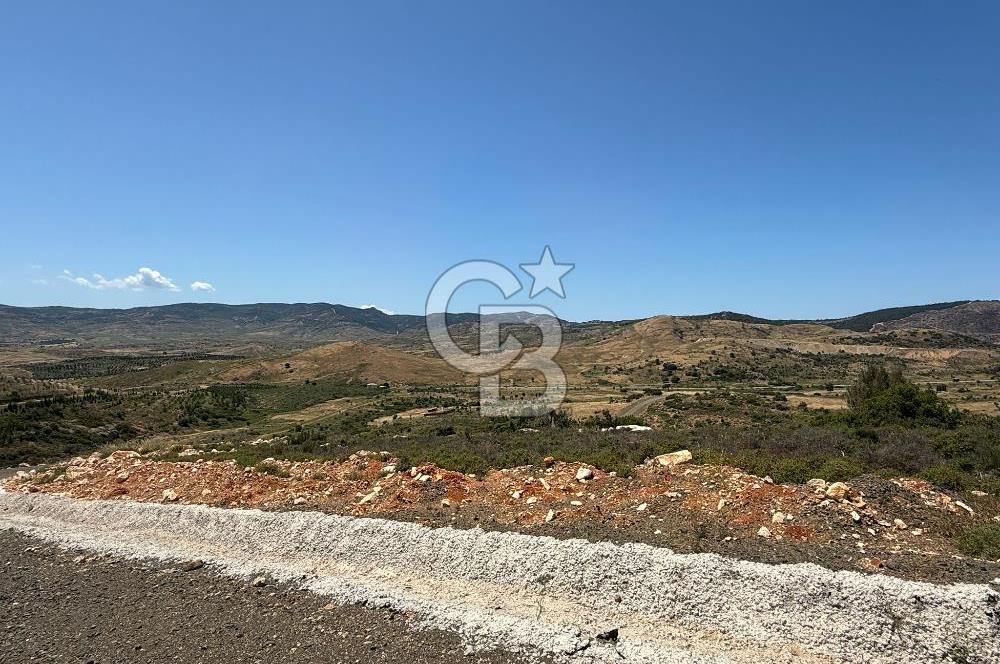 Yenifoça'da Satılık 993 m2 Arsa