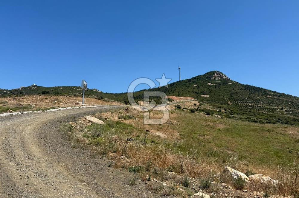 Yenifoça'da Satılık 993 m2 Arsa