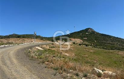 Yenifoça'da Satılık 993 m2 Arsa