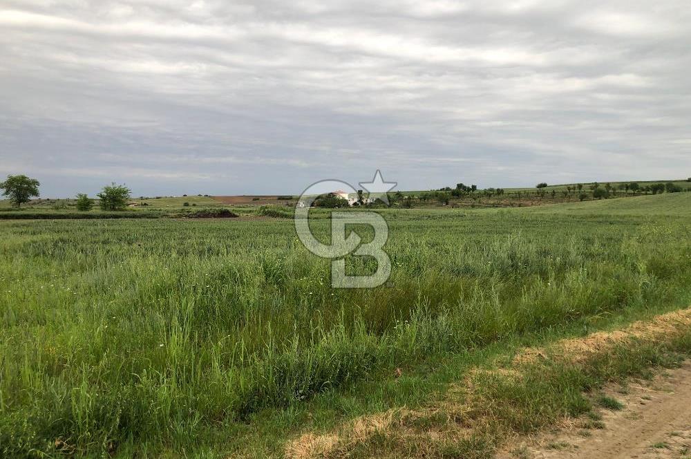 Edirne Uzunköprü Mesçit Mahallesinde Satılık Tarla