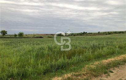 Edirne Uzunköprü Mesçit Mahallesinde Satılık Tarla