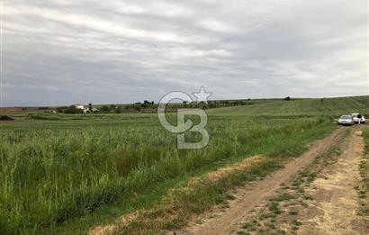 Edirne Uzunköprü Mesçit Mahallesinde Satılık Tarla