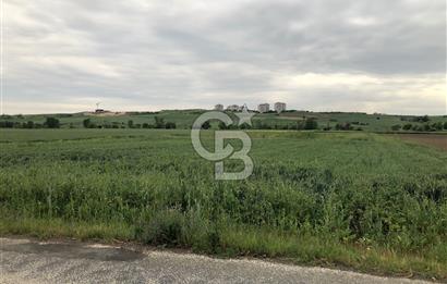 Edirne Uzunköprü Mesçit Mahallesinde Satılık Tarla