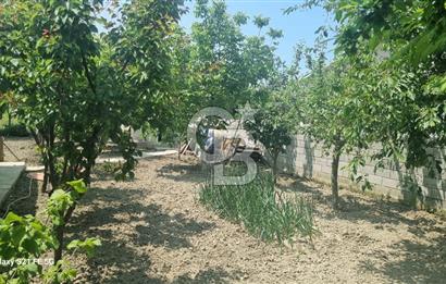 BURDUR BUCAK'DA SATILIK MÜSTAKİL EV