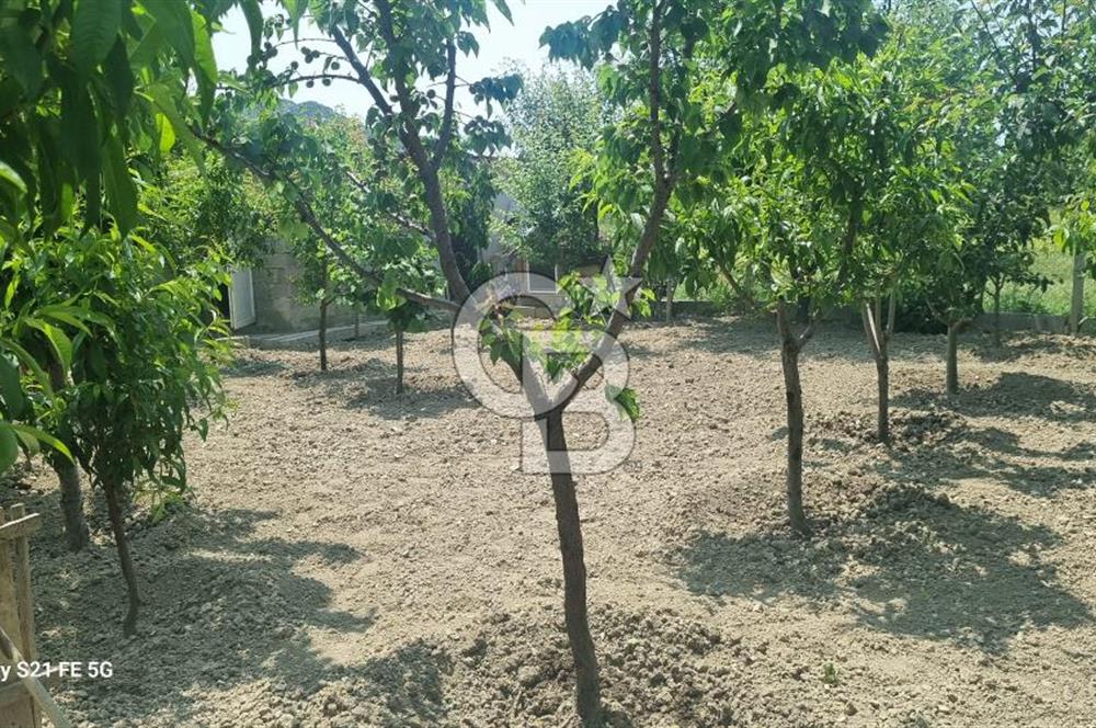 BURDUR BUCAK'DA SATILIK MÜSTAKİL EV