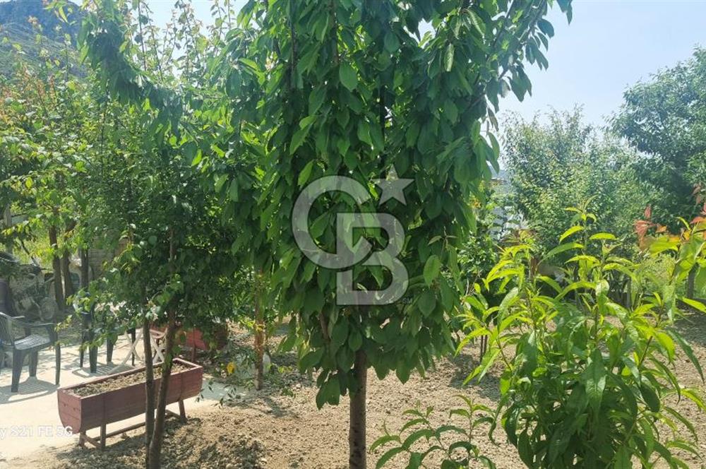 BURDUR BUCAK'DA SATILIK MÜSTAKİL EV