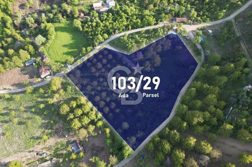 CB ENVOY'dan Gölcük Hamidiye'de Doğanın Kalbinde 10.000m2 Tarla