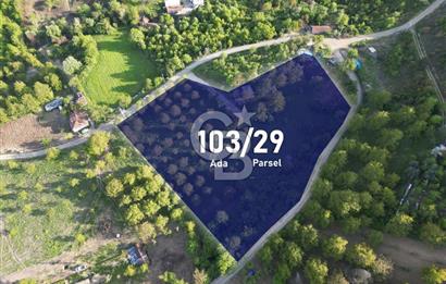 CB ENVOY'dan Gölcük Hamidiye'de Doğanın Kalbinde 10.000m2 Tarla