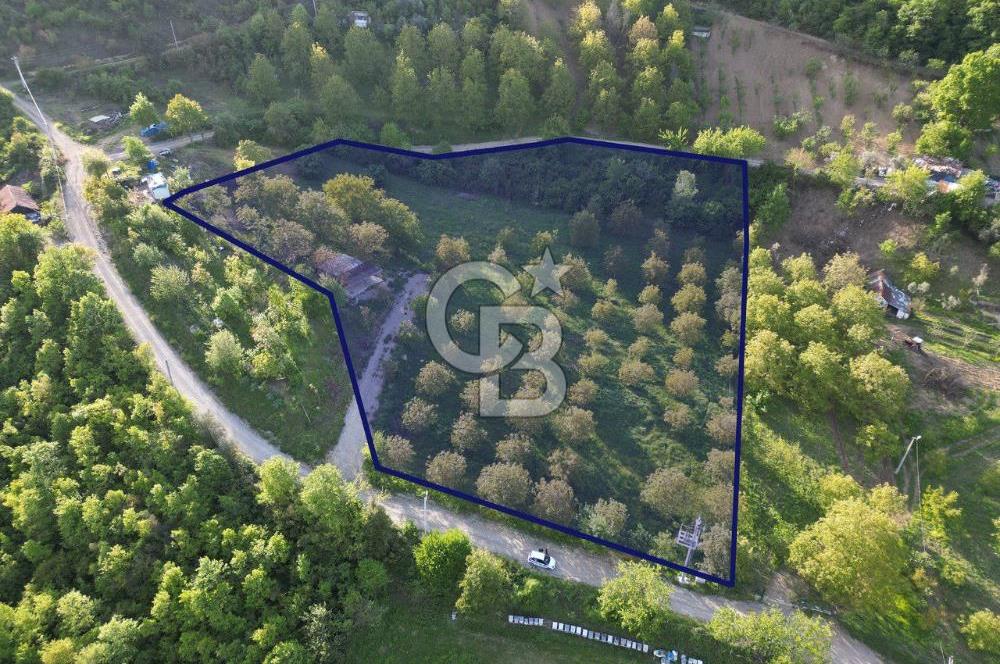 CB ENVOY'dan Gölcük Hamidiye'de Doğanın Kalbinde 10.000m2 Tarla