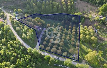 CB ENVOY'dan Gölcük Hamidiye'de Doğanın Kalbinde 10.000m2 Tarla