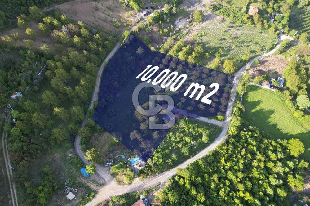 CB ENVOY'dan Gölcük Hamidiye'de Doğanın Kalbinde 10.000m2 Tarla